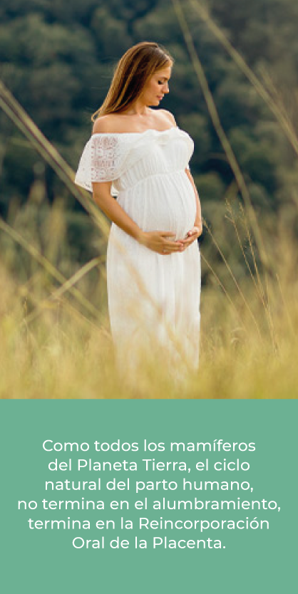 capsulas-placenta-banner-1