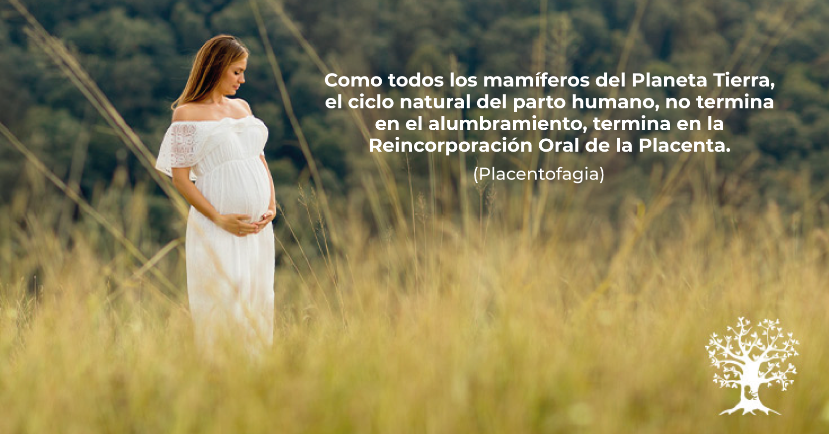 capsulas-placenta-banner-1
