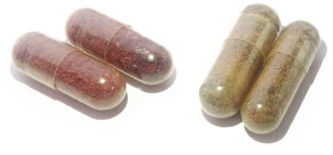 placenta pildoras